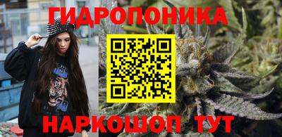 хмурый Бийск