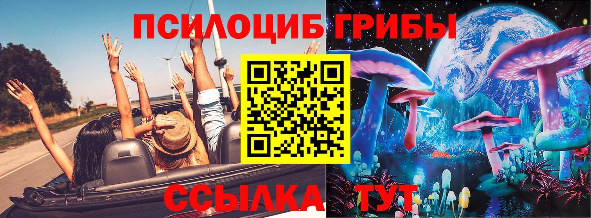 Гусиноозёрск  Галлюциногенные грибы Cubensis  Вход с VPN  Галлюциногенные грибы ЛСД 