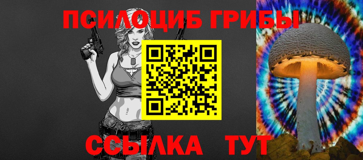 Псилоцибиновые грибы GOLDEN TEACHER Гусиноозёрск